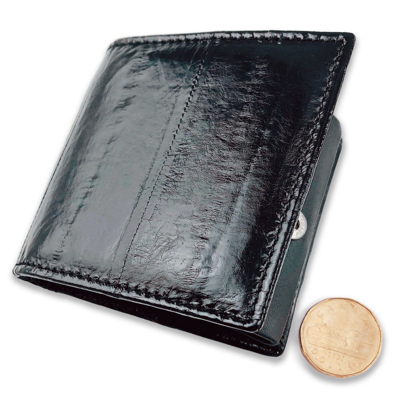 Eel Coin Wallet (Black)