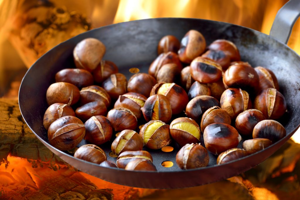 CUNEO CHESTNUT FAIR