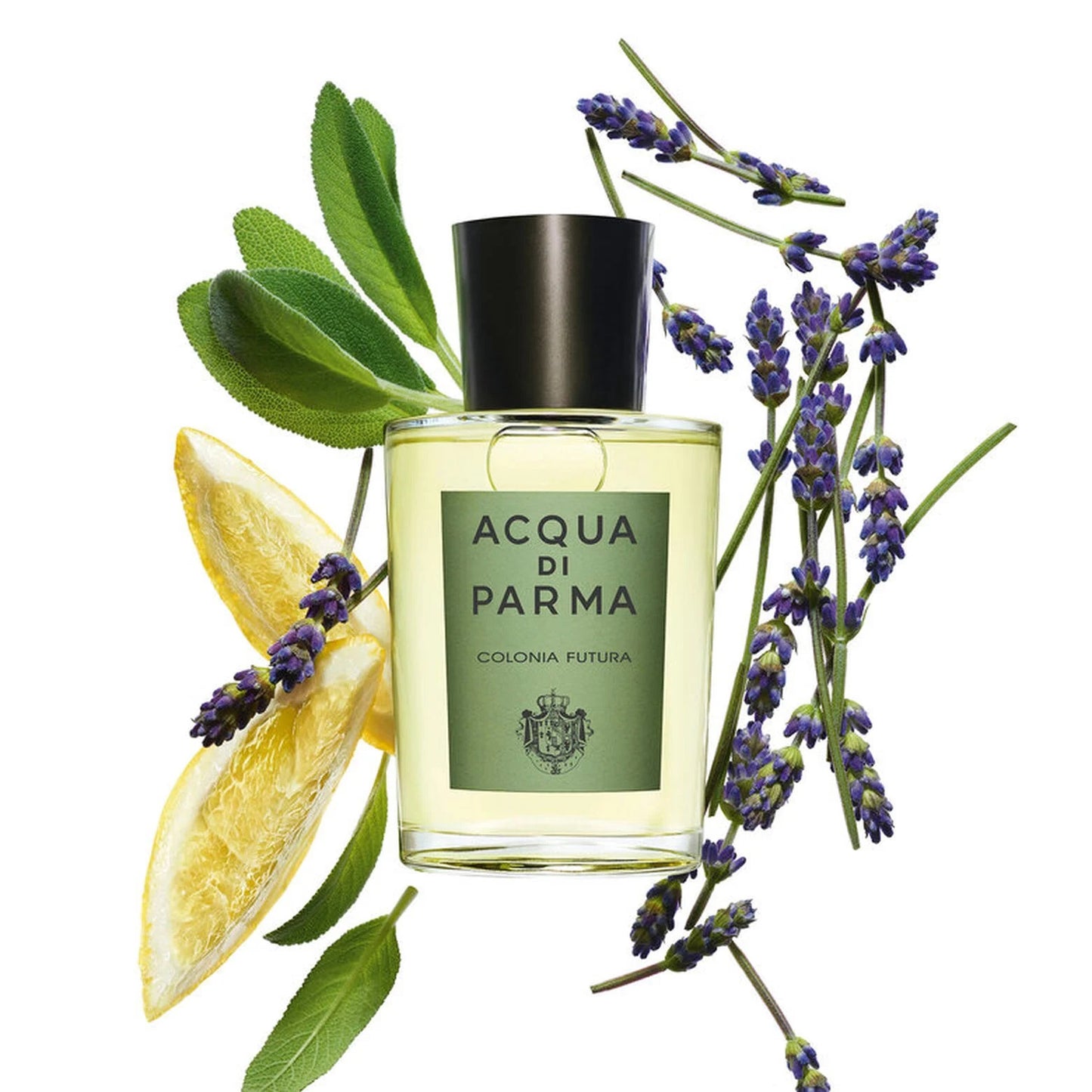 Acqua Di Parma Colonia Futura eau de cologne