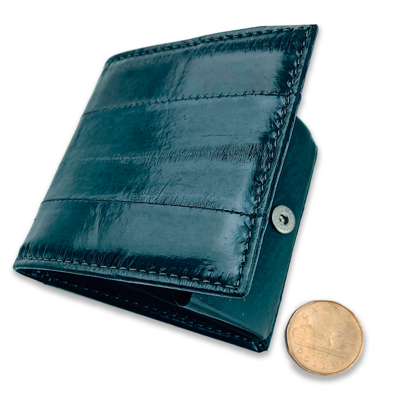 Eel Coin Wallet (Grey)
