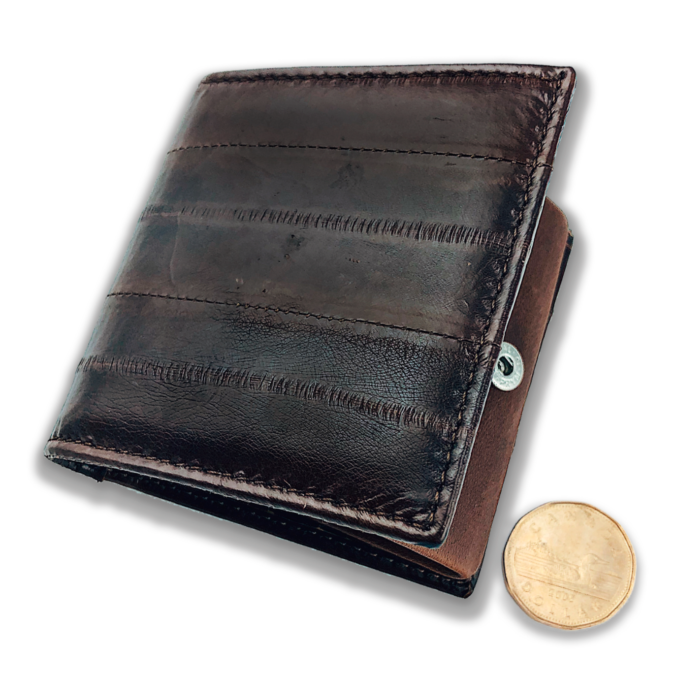 Eel Coin Wallet (Brown)