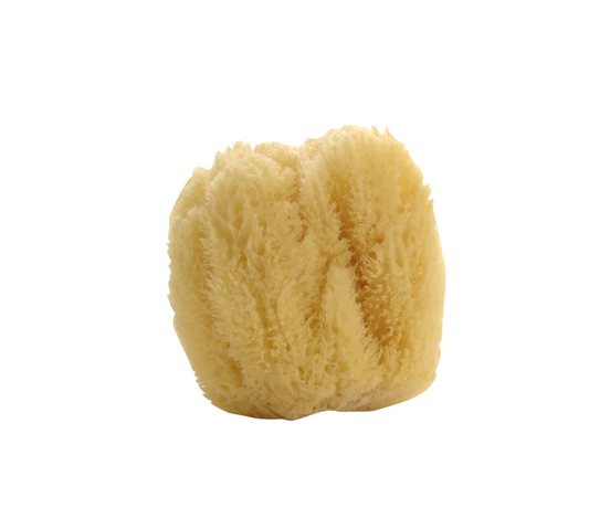 Natural Sea Sponge (Large)